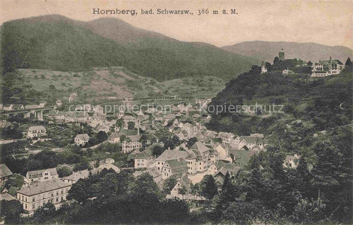 Hornberg  Schwarzwald Panorama