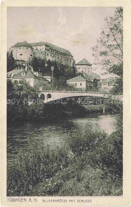 TueBINGEN BW Partie am Neckar Alleenbruecke mit Schloss
