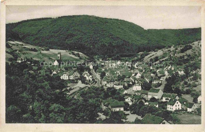 Alpirsbach Panorama Luftkurort im Schwarzwald