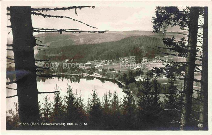 TITISEE Schwarzwald BW Panorama Blick ins Tal vom Waldrand aus