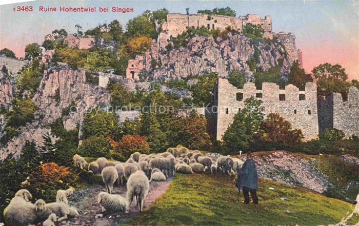 SINGEN Hohentwiel Ruine Hohentwiel Schafherde Pruefstempel Feldpost