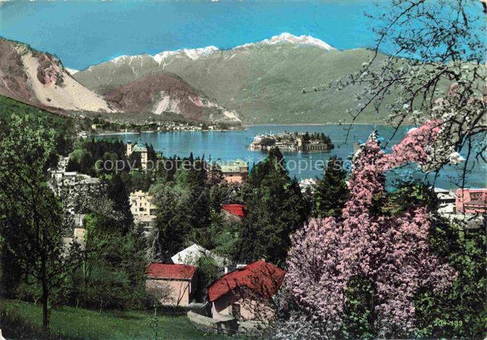 Stresa Borromeo Lago Maggiore IT e Isola Bella Baumbluete