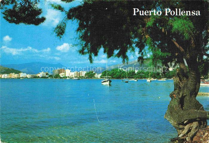 Puerto Pollensa Panorama