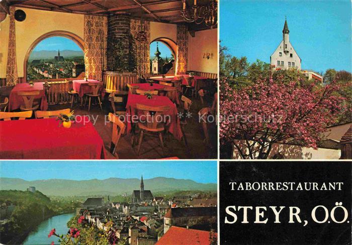 Steyr Enns Oberoesterreich Stadtpanorama Blick vom Taborrestaurant Baumbluete