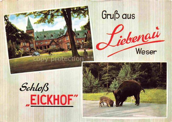 Liebenau Nienburg Schloss Eickhof Wildscheine