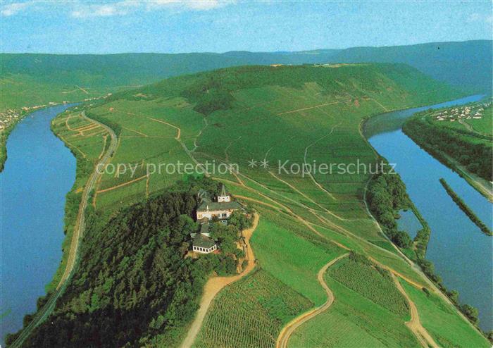 Alf Bullay Mosel Moselschleife mit Blick auf Jugendburg Marienburg und Bergcafé