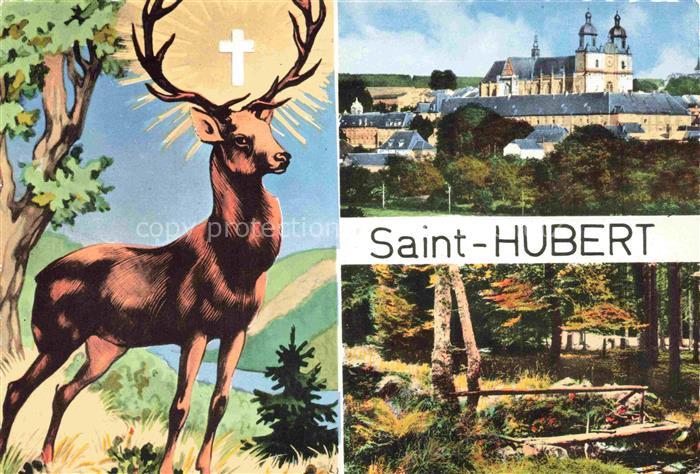 Saint Hubert Wallonie Hirsch Waldpartie Kloster