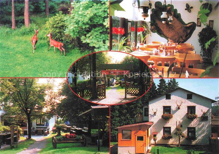 Oberhof  Thueringen Waldgaststaette Forsthaus Sattelbach Gastraum Garten Wild