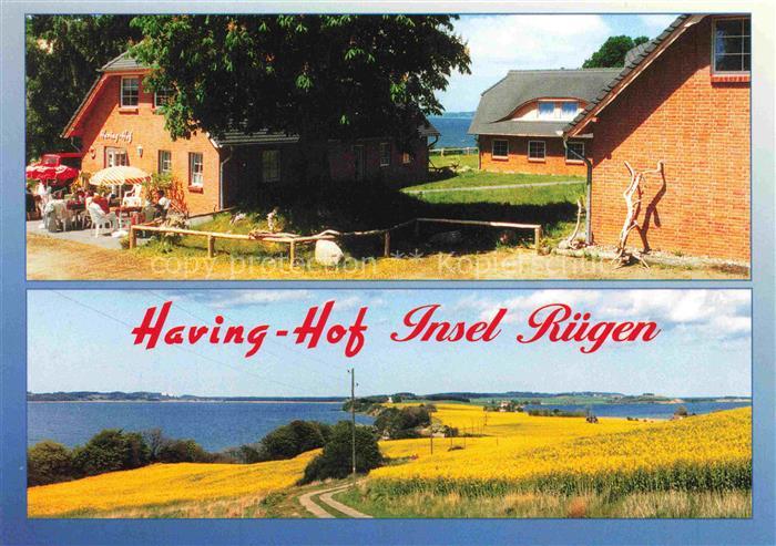 Alt-Reddevitz Middelhagen Ruegen Having-Hof Landschaftspanorama