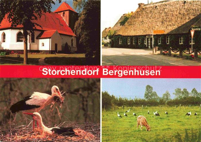 Bergenhusen Das Storchendorf Interessengemeinschaft Rettet den weissen Storch