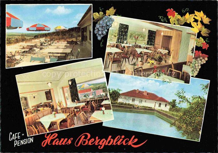 Klingenberg  Main Bayern Café Pension Haus Bergblick Gastraum Terrasse Swimming