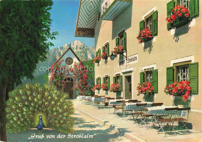 Anger Chiemgau Berghof Stroblalm am Hoegl mit Hochstaufen