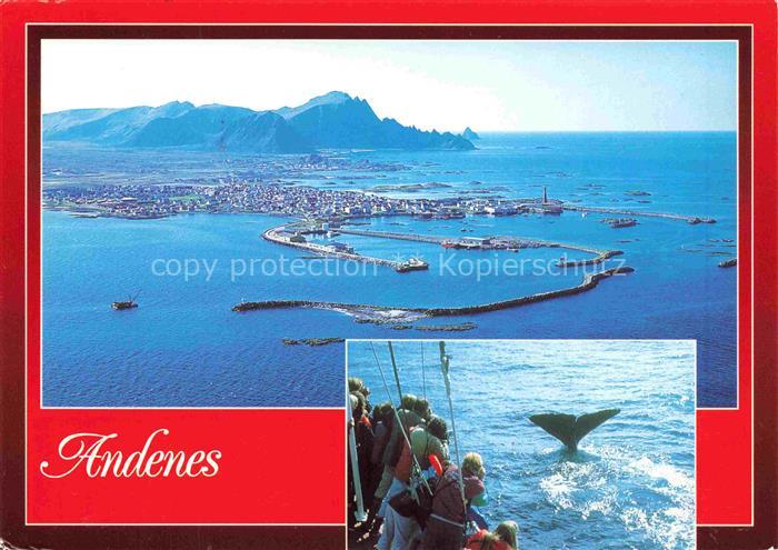 Andenes Norge Luftaufnahme Hvalsafari Walbeobachtung