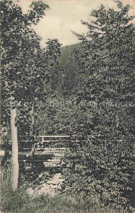 Bad Schwarzbach Flinsberg Isergebirge Swieradow Zdroj Bad PL Landschaft am Kiese