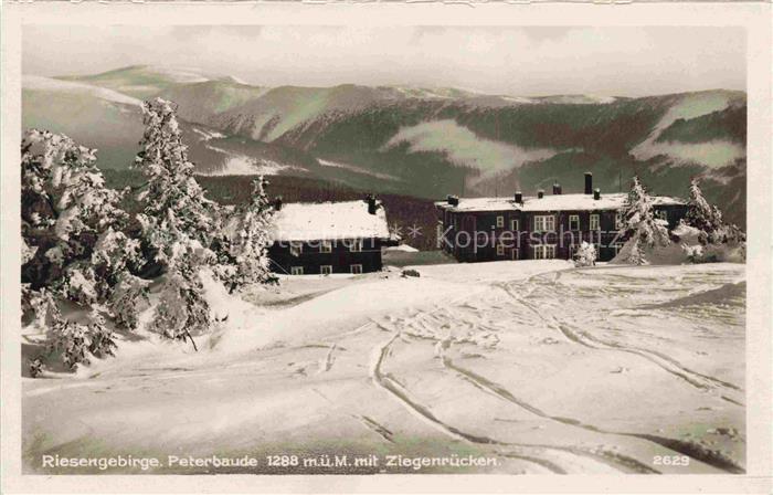 Krummhuebel Karpacz Riesengebirge PL Peterbaude mit Ziegenruecken Winterpanorama