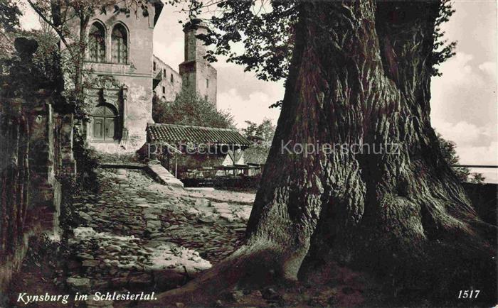 Zagorze Slaskie PL Kynsburg im Schlesiertal