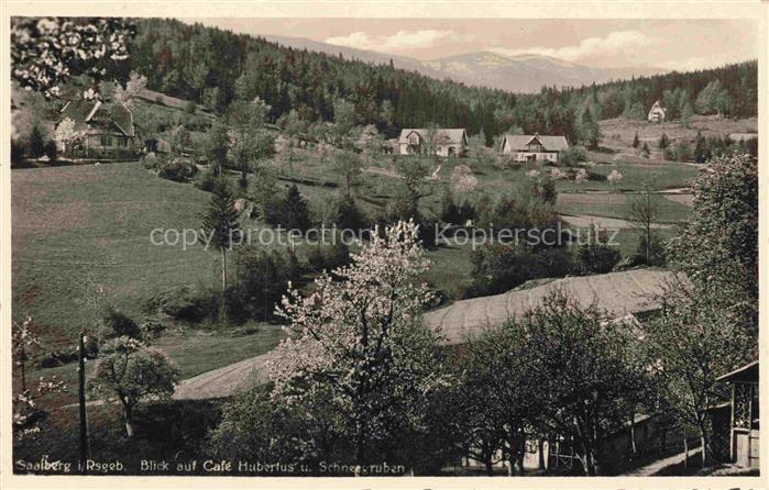 Saalberg Riesengebirge PL Panorama Blick auf Café Hubertus und Schneegruben