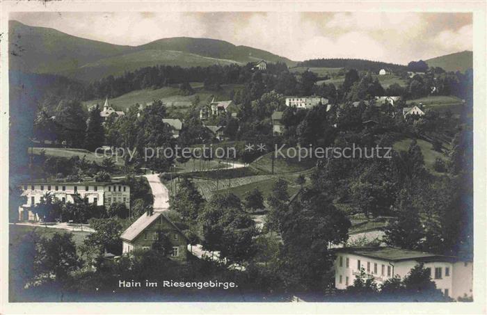 Hain Giersdorf Riesengebirge Podgorzy PL Panorama