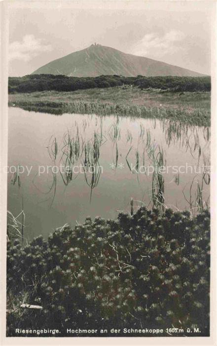 Karpacz Krummhuebel Riesengebirge PL Hochmoor an der Schneekoppe