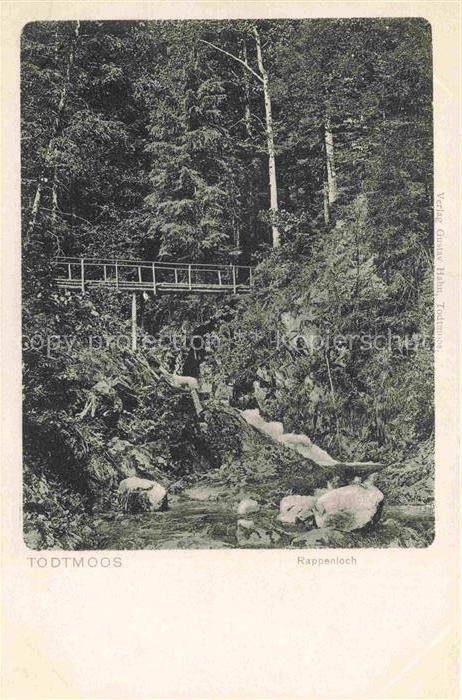 Todtmoos Schwarzwald BW Rappenloch Waldpartie im Schwarzwald