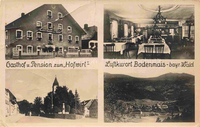 Bodenmais Regen Bayern Gasthof Pension zum Hofwirt Gaststube Ortszentrum Panoram