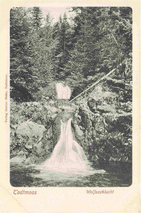 Todtmoos Schwarzwald BW Wolfsschlucht im Schwarzwald