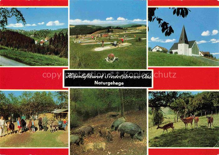 Siedelsbrunn Wald-Michelbach Bergstrasse Hessen Panorama Minigolf Kirche Wildpar