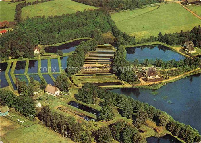 Soltau Forellenzucht Spiekerhof