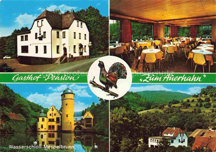 Hobbach Gasthof Pension zum Auerhahn Gastraum Wasserschloss Mespelbrunn Naturpar