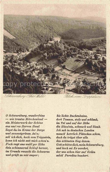 Schwarzburg Rudolstadt Thueringen Panorama Blick vom Trippstein Poesie Kupfertie