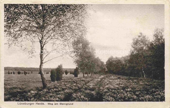 LueNEBURGER HEIDE HAIDE Landschaftspanorama Lueneburger Heide Weg am Steingrund