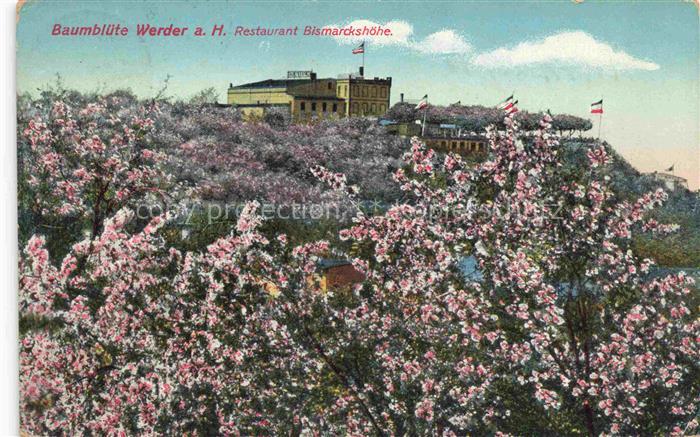 Werder Havel Baumbluete Restaurant Bismarckshoehe
