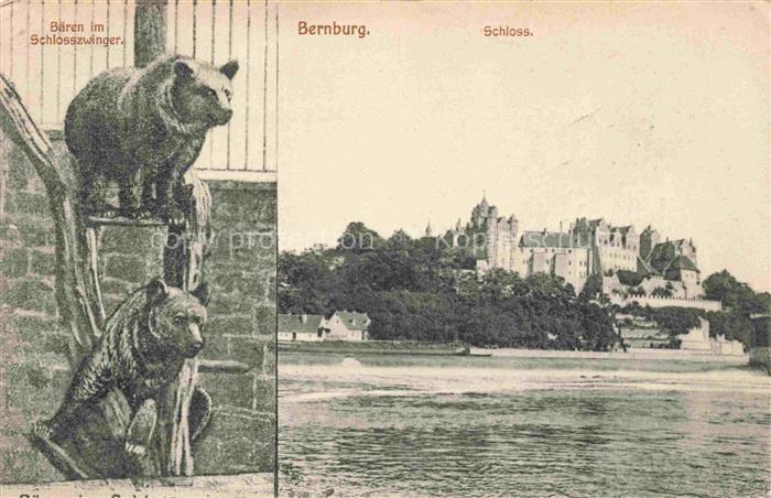 Bernburg Saale Baeren im Schlosszwinger Blick zum Schloss