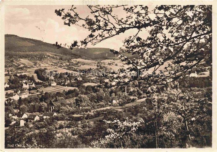 BAD ORB Panorama Baumbluete