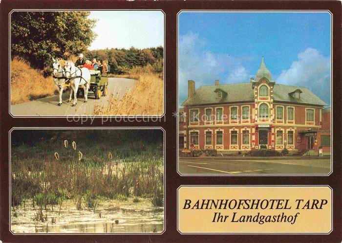 Tarp Flensburg Bahnhofshotel Landsgasthof Pferdewagen Landschaft