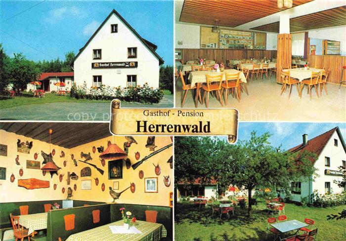 Speichersdorf Bayreuth Bayern Gasthof Pension Herrenwald Gastraum Garten