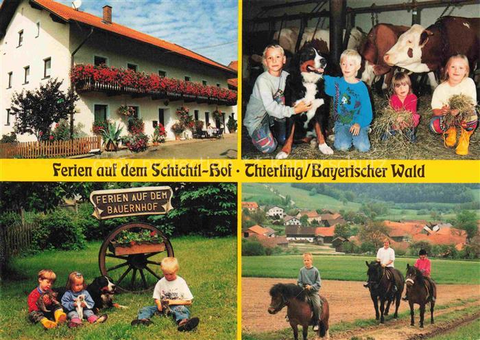 Schorndorf Oberpfalz Ferien auf dem Schichtl-Hof Urlaub auf dem Bauernhof Kuhsta