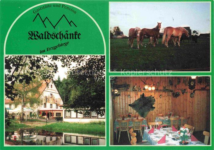 Geyer Sachsen Gaststaette Pension Waldschaenke Reitsport- und Pferdezuchtverein