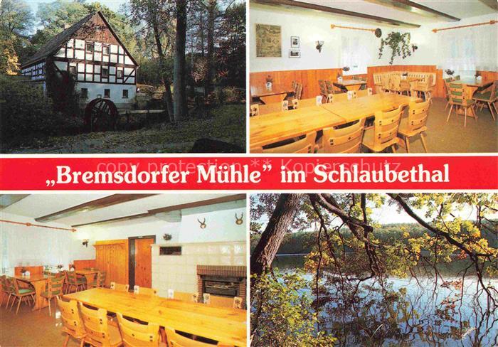 Bremsdorf Brjemjow Gaststaette Bremsdorfer Muehle Gastraum Blick aufs Wasser