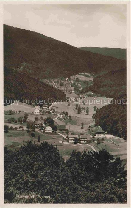 Herrenalb BAD HERRENALB Gaistal Panorama