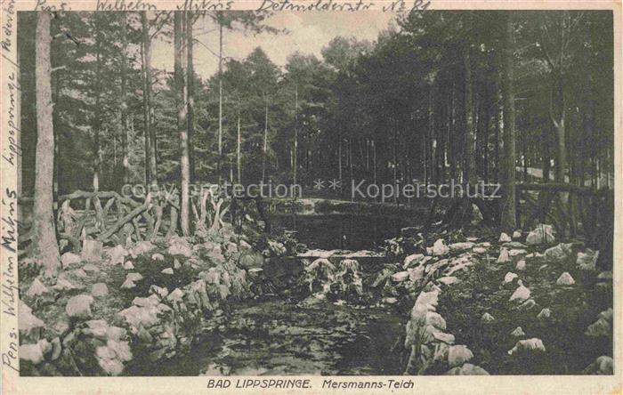 BAD LIPPSPRINGE Mersmanns Teich