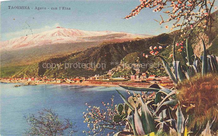 Taormina Sicilia IT Agave con l'Etna