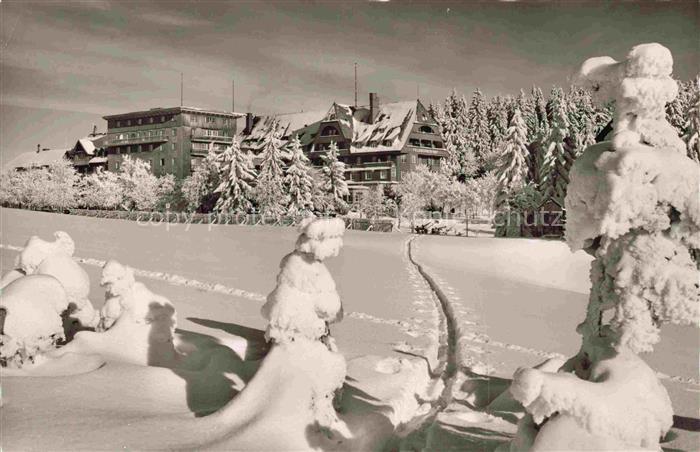 Feldberg 1450m Schwarzwald Hotel Feldberger Hof Winterpanorama