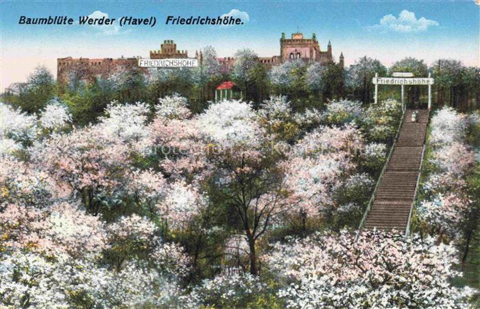 Werder Havel Friedrichshoehe Baumbluete