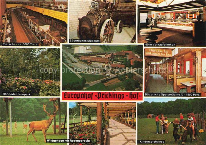 Sythen Haltern Europahof Prickings-Hof Tierschau Museum Rhododendronpark Wildgeh