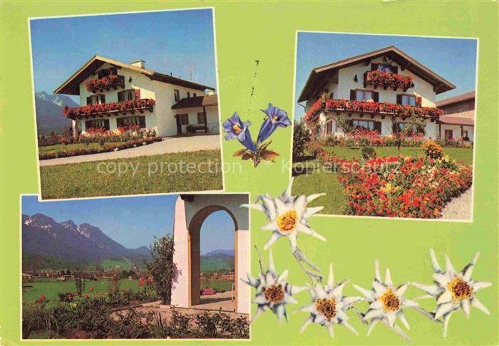 Inzell Traunstein Bayern Oberegger Hof Panorama Alpen Edelweiss