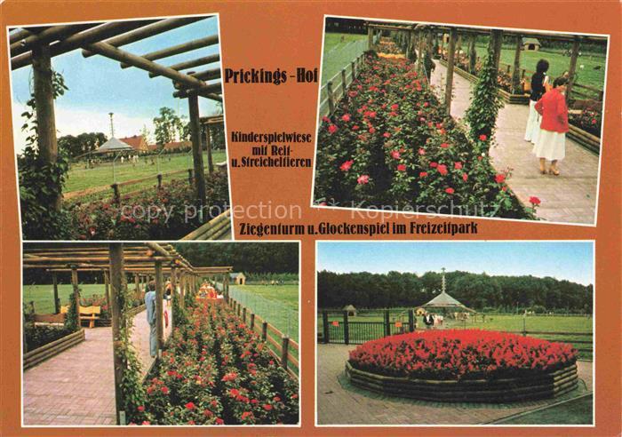 Haltern See Prickings-Hof Kinderspielwiese mit Reit- und Streicheltieren Tiersch