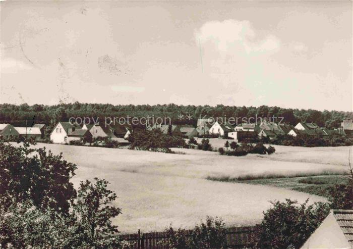 Schoenborn Dresden Panorama