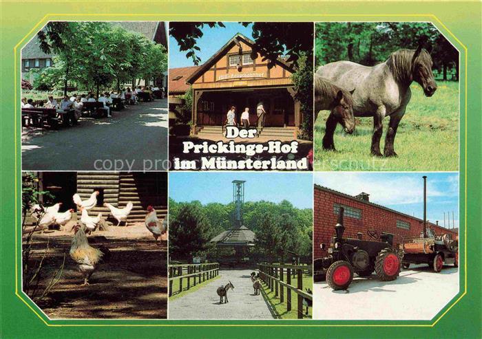 Sythen Haltern Prickings Hof im Muensterland Gartenwirtschaft Huehner Pferde Tra