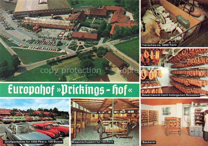 Sythen Haltern Fliegeraufnahme Europahof Prickings Hof Tierschau Wurst Kuehlraum